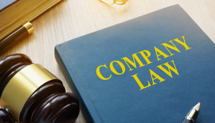 Company Law Consultancy